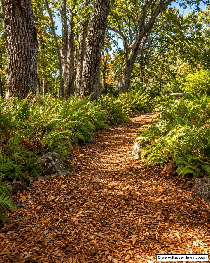 Leaf Mulch Pathway - 25 Mulch Pathway Ideas for a Beautiful Garden