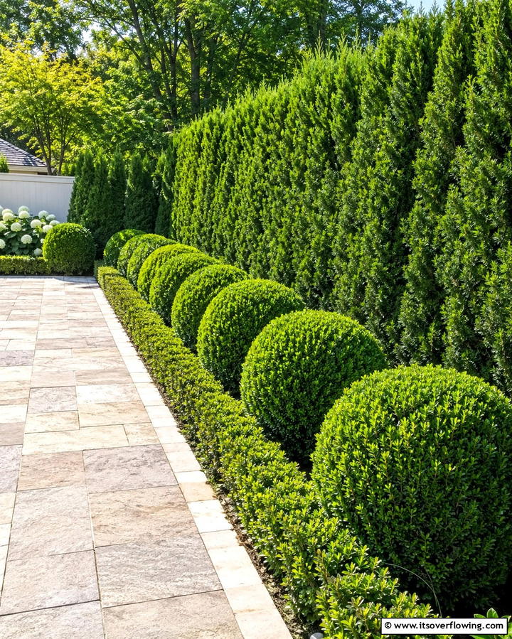 Low Maintenance Shrubs for Year Round Appeal - 25 Low Maintenance Backyard Landscaping Ideas