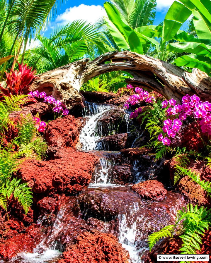 Lush Tropical Waterfall - 25 Pondless Waterfall Design Ideas for a Serene Backyard