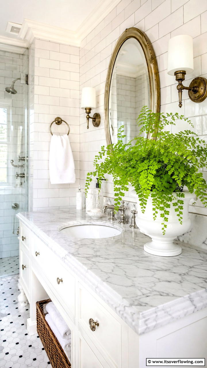 Maidenhair Fern Delicate Texture - 30 Low-Light Indoor Plants That Don’t Need Sun to Thrive