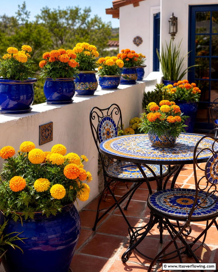 Marigolds Bright and Cheerful Blooms - 25 Outdoor Plants for Patio to Enhance Your Space