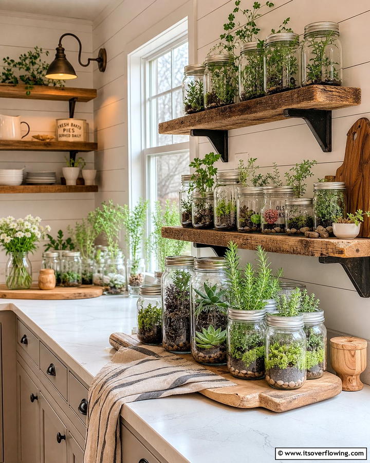 Mason Jar Greenhouse - 20 Indoor Greenhouse Ideas for Plant Lovers