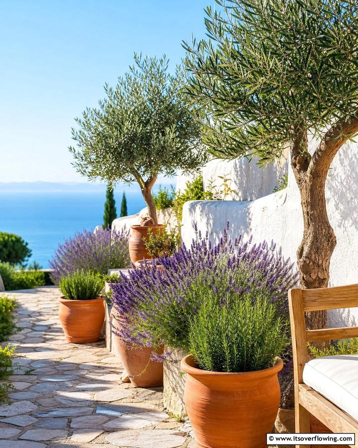 Mediterranean Garden - 21 Beautiful Garden Ideas to Transform Your Outdoor Space