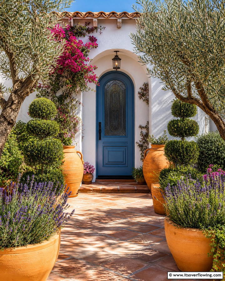 Mediterranean Inspired Entry - 21 Front Door Plants for a Welcoming and Lush Entryway
