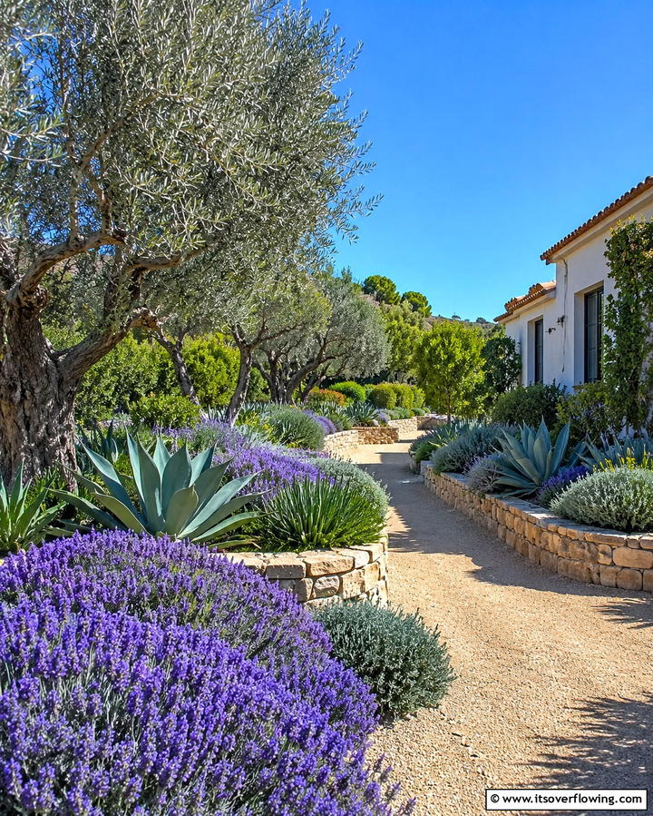 Mediterranean Plant Palette - 25 Beautiful Front Yard Spanish Style Landscaping Ideas