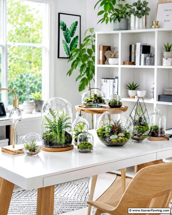 Miniature Indoor Greenhouse - 20 Indoor Greenhouse Ideas for Year-Round Gardening