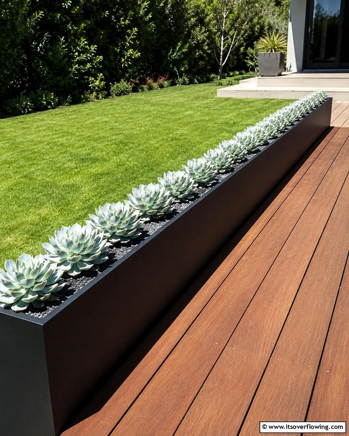 Minimalist Metal Succulent Planter - 30 Outdoor Succulent Container Ideas for Easy Gardening