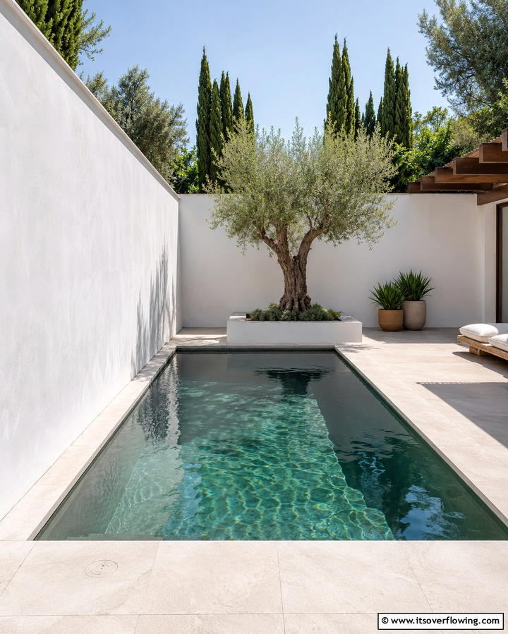 Minimalist Plunge Pool - 25 Plunge Pool Ideas for a Refreshing Backyard