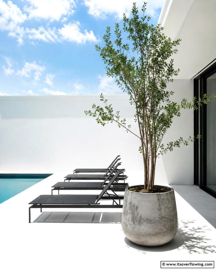 Minimalist White Deck with Clean Lines - 25 White Deck Ideas for a Stunning Outdoor Space