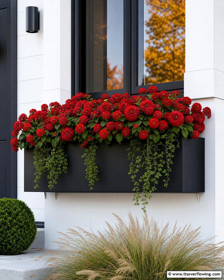 Monochromatic Beauty with Crimson Zinnias - 20 Fall Flower Box Ideas for Seasonal Beauty