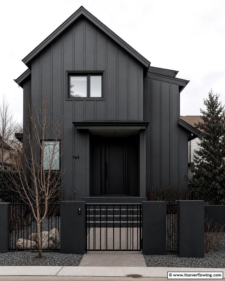 Monochromatic Black Exterior with Matte Finish - 25 Black Siding House Ideas for a Bold and Modern Look