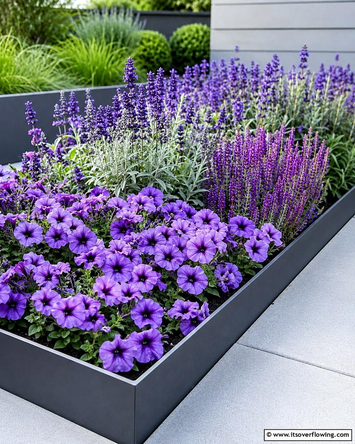 Monochromatic Flower Bed - 25 Front Yard Texas Flower Bed Ideas for a Stunning Look
