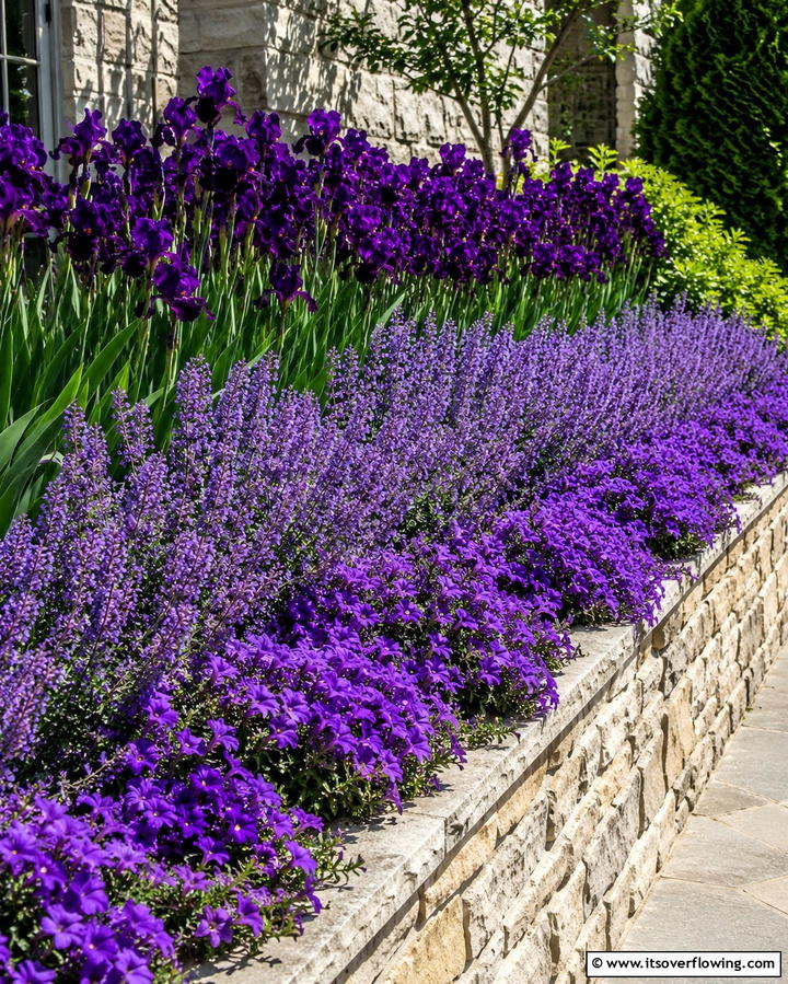Monochromatic Flower Beds - 30 Front Yard Flower Bed Ideas for Curb Appeal Boost