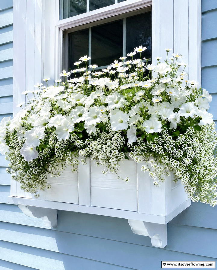 Monochromatic Plant Themes - 25 Window Box Ideas to Brighten Your Home’s Exterior