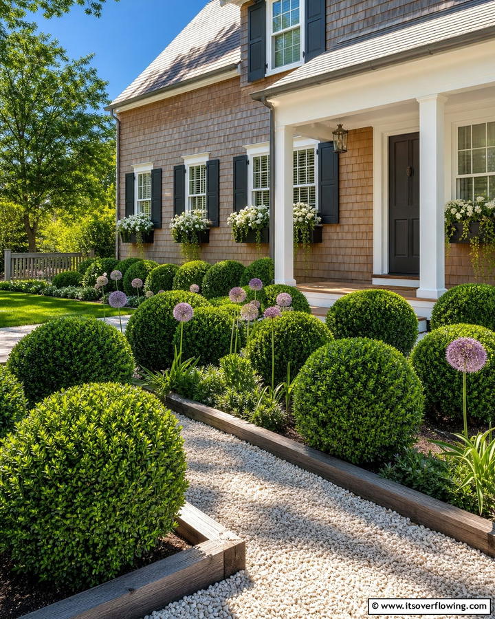 Morris Dwarf Boxwood - 20 Front Yard Boxwood Shrubs Ideas for a Polished Look