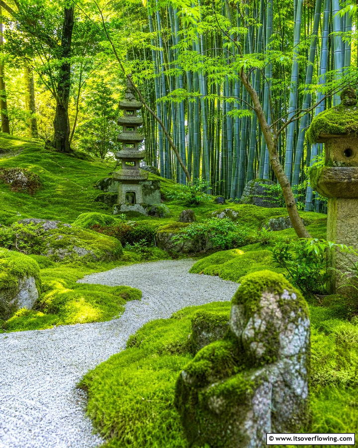 Moss Covered Accents - 25 Zen Garden Ideas for a Peaceful Outdoor Retreat