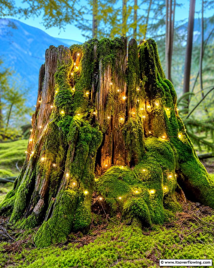 Moss Covered Stump with Fairy Lights - 25 Tree Stump Fairy Garden Ideas for Enchanting Spaces