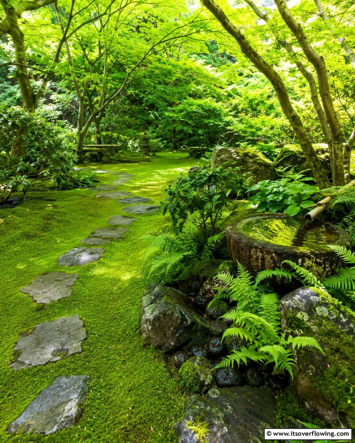 Mossy Meditation Space - 30 Japanese Garden Ideas for Zen Outdoor Spaces