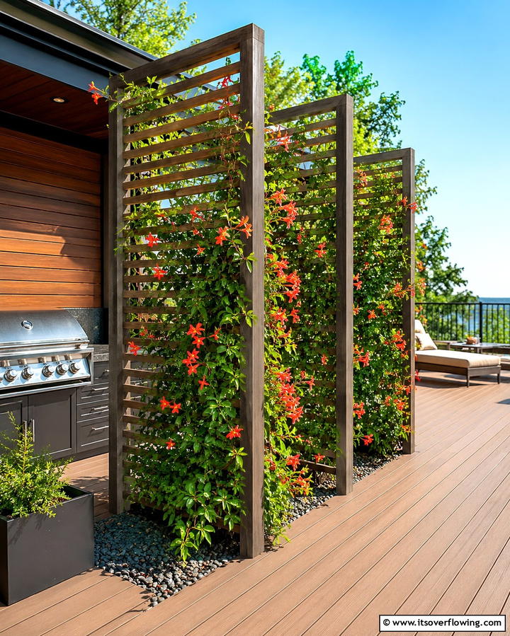 Multi Panel Trellis Divider - 25 Trellis Ideas to Enhance Your Garden Aesthetics