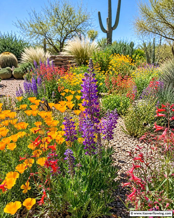 Native Wildflower Garden - 25 Arizona Backyard Ideas for Desert Landscapes