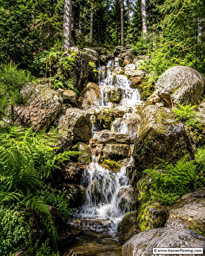 Natural Woodland Waterfall - 25 Pondless Waterfall Design Ideas for a Serene Backyard
