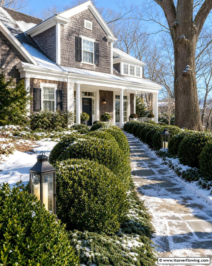 Northern Charm Boxwood Robust and Reliable - 20 Front Yard Boxwood Shrubs Ideas for a Polished Look