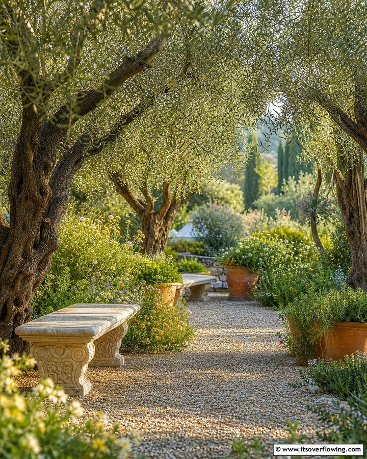 Olive Grove Oasis - 30 Greek Garden Ideas- Mediterranean-Inspired Landscaping