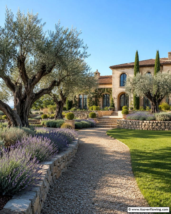 Olive Trees for Natural Mediterranean Essence - 30 Mediterranean House Exterior Ideas for Coastal Charm