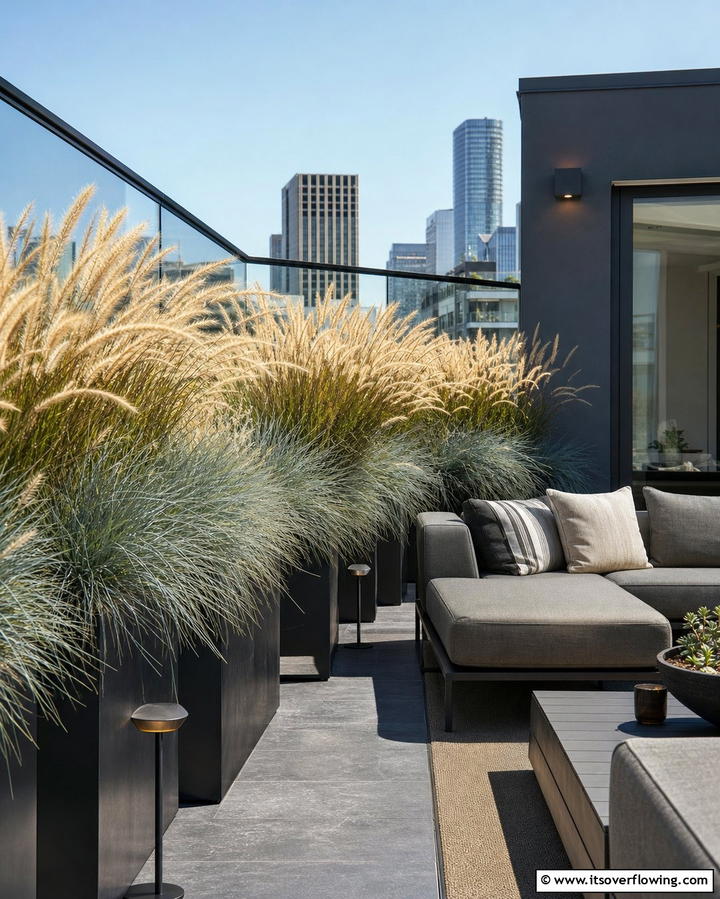 Ornamental Grasses Modern and Minimalist - 25 Outdoor Plants for Patio to Enhance Your Space