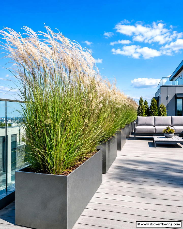 Ornamental Grasses for Texture - 25 Patio Plants to Beautify Your Outdoor Living Space