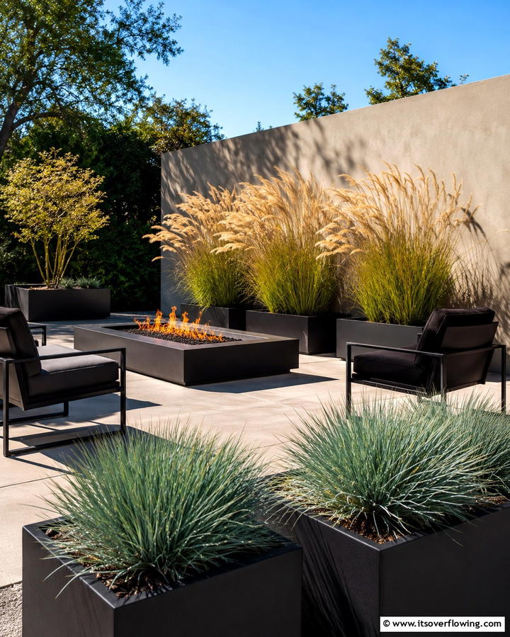 Ornamental Grasses for a Modern Touch - 25 Patio Plants to Beautify Your Outdoor Living Space