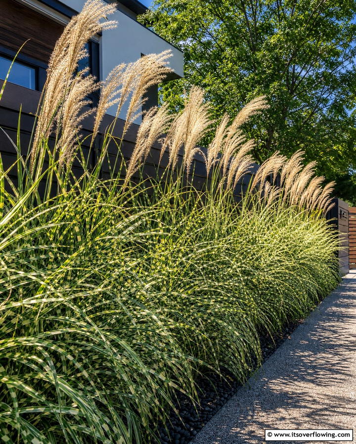 Ornamental GrassesOne - 25 Xeriscape Ideas for Low-Water Landscaping