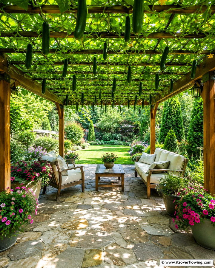 Overhead Pergola Trellis - 25 Cucumber Trellis Ideas for a Productive Garden