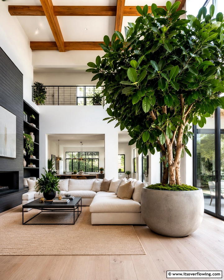 Oversized Indoor Plants - 25 Organic Modern Living Room Design Ideas