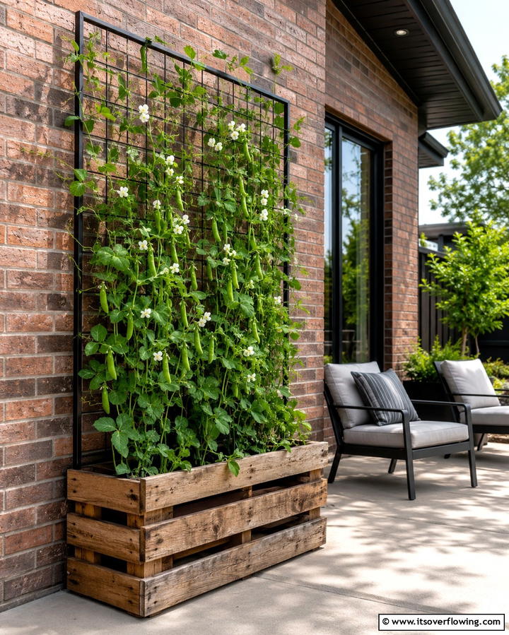 Pallet Garden with Trellis for Climbing Plants - 25 Vertical Pallet Garden Ideas for Urban Spaces