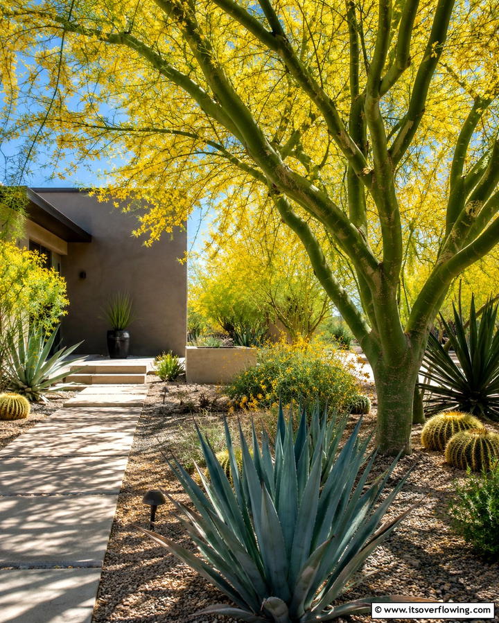 Palo Verde - 25 Small Trees for Front Yard Landscaping Ideas