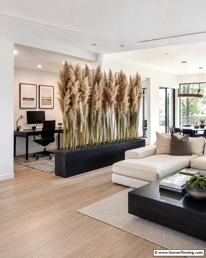 Pampas Grass Room Dividers - 25 Pampas Grass Decor Ideas for Boho Chic Spaces