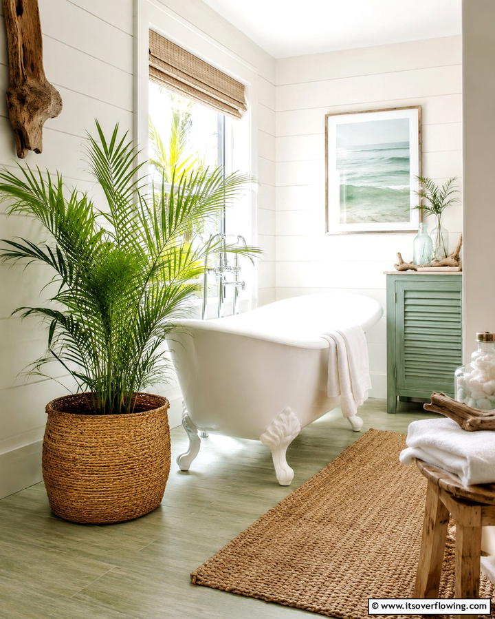 Parlor Palm - 30 Best Plants for Bathroom Spaces to Enhance Humidity & Style
