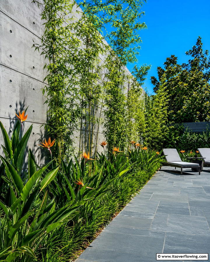 Patio Privacy Wall - 30 Backyard Privacy Ideas for Creating a Secluded Outdoor Oasis