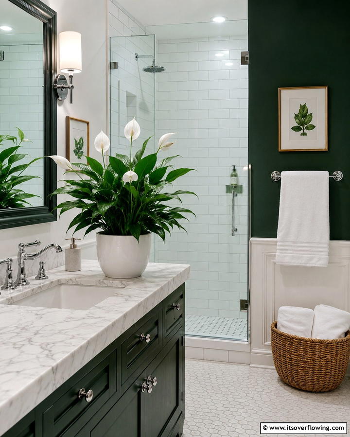 Peace Lily - 30 Best Plants for Bathroom Spaces to Enhance Humidity & Style