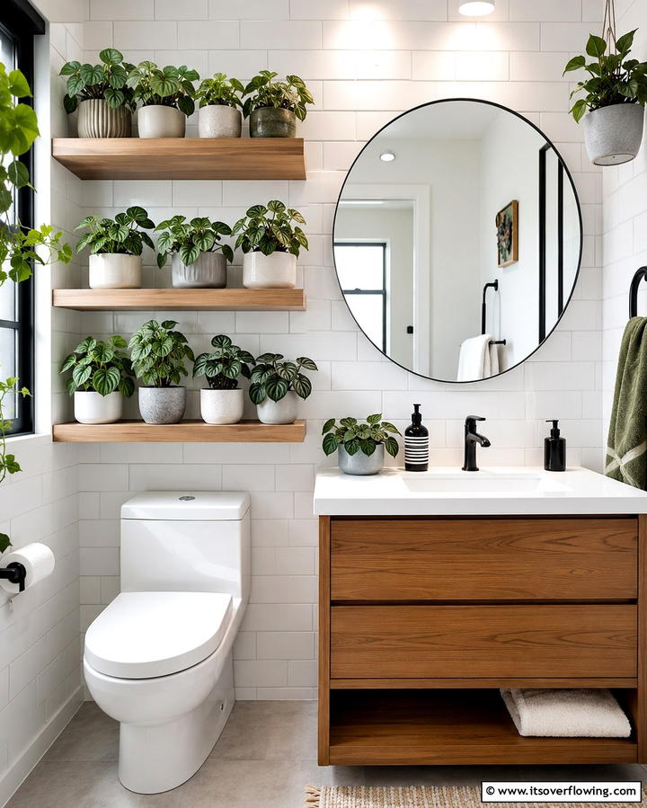 Peperomia - 30 Best Plants for Bathroom Spaces to Enhance Humidity & Style