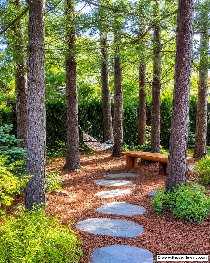 Pine Tree Meditation Area - 20 Pine Tree Landscape Ideas for a Natural Backyard