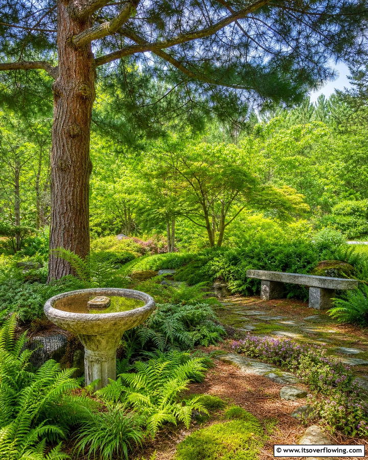 Pine Tree Shade Garden - 20 Pine Tree Landscape Ideas for a Natural Backyard