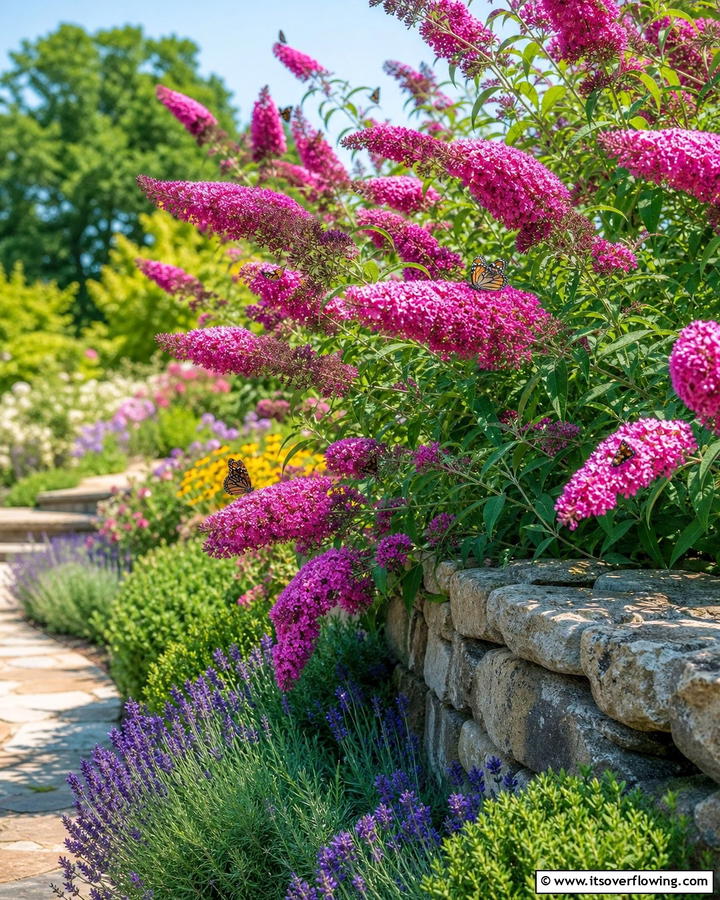 Pink Butterfly Bushes - 20 Beautiful Pink Garden Ideas to Brighten Your Space