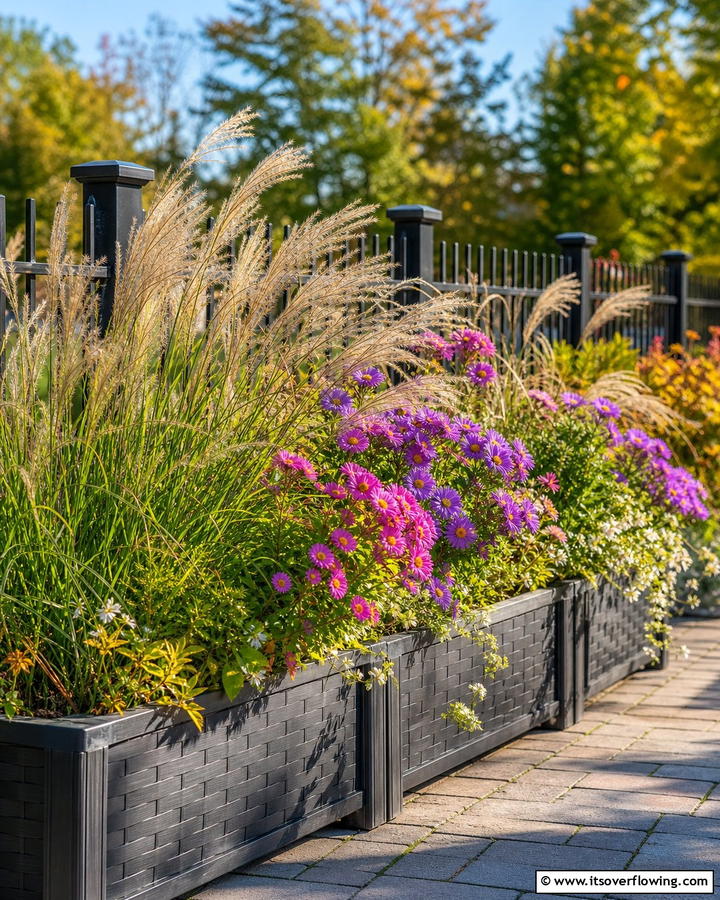 Playful Texture with Grasses and Asters - 20 Fall Flower Box Ideas for Seasonal Beauty