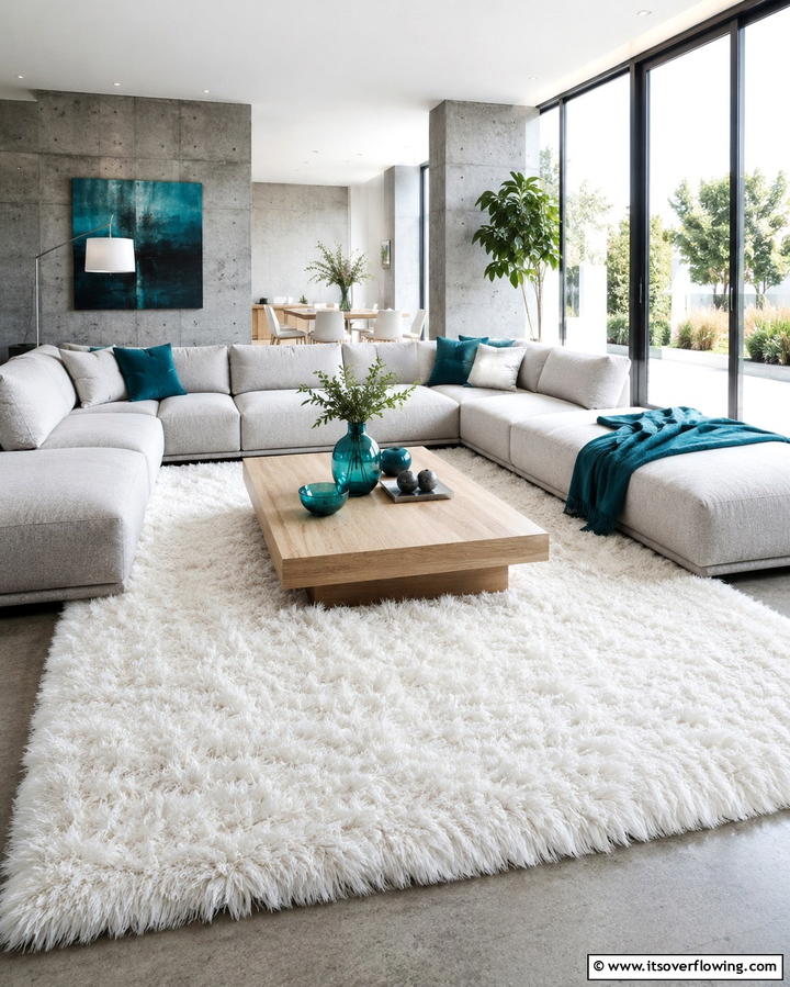 Plush Shag Carpet for Ultimate Comfort - 25 Living Room Carpet Ideas for Cozy Comfort