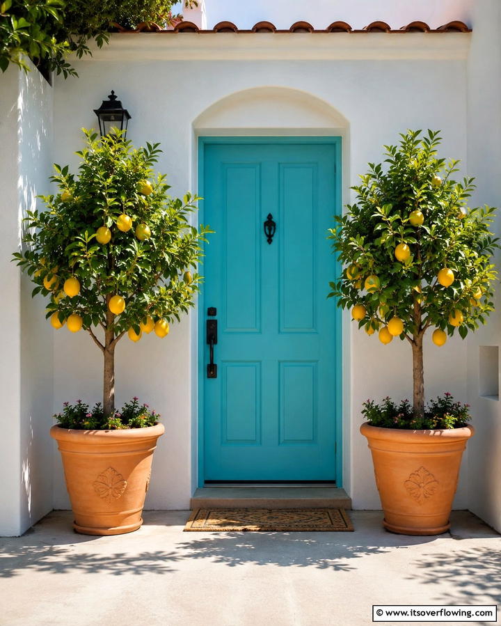 Potted Citrus Trees - 25 Summer Front Door Decor Ideas to Welcome the Season