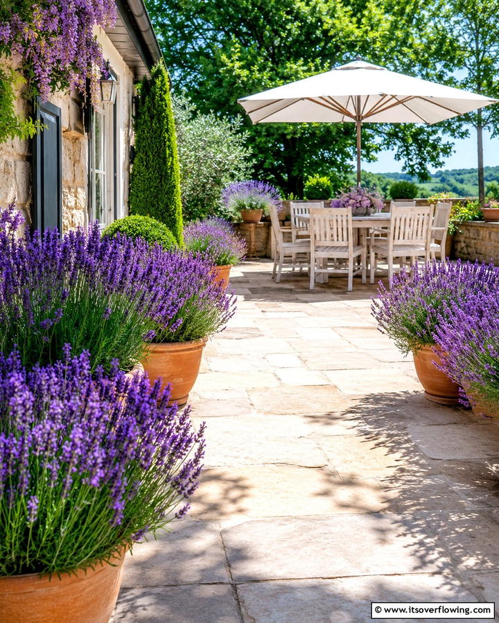 Potted Lavender Arrangements - 30 Farmhouse Patio Ideas for Rustic Outdoor Relaxation