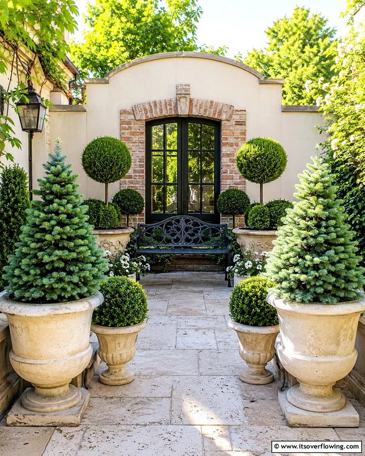 Potted Miniature Trees - 25 Patio Small Garden Ideas to Maximize Your Space
