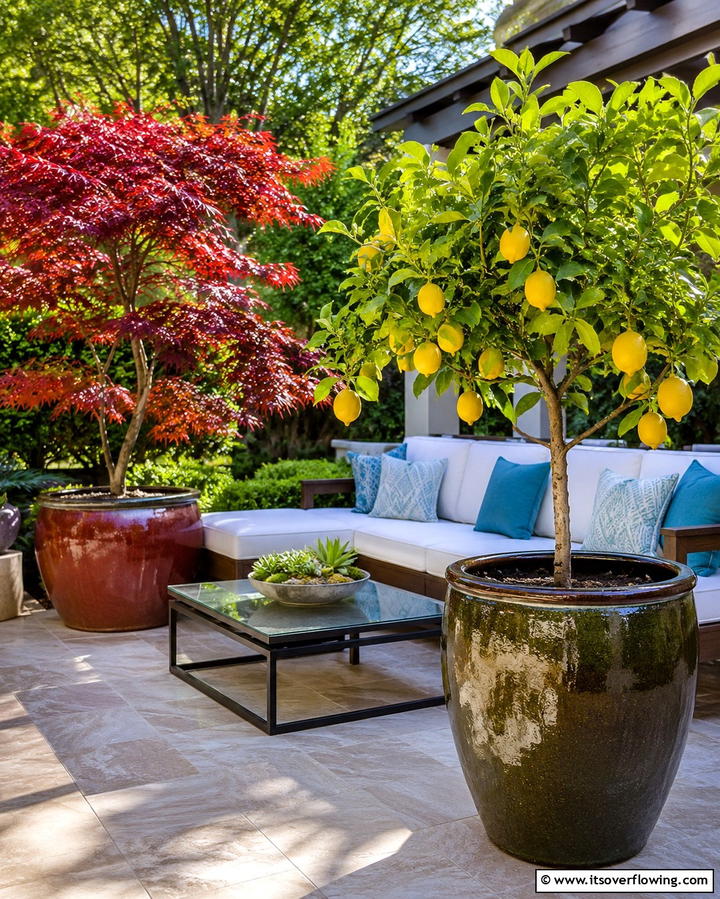 Potted Tree Accents - 25 Patio Small Garden Ideas to Maximize Your Space